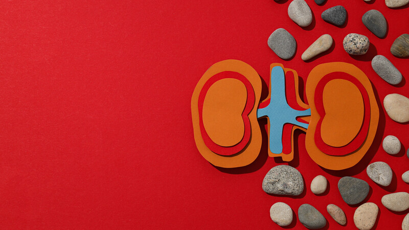 Новая урологическая номограмма для первичной профилактики МКБ