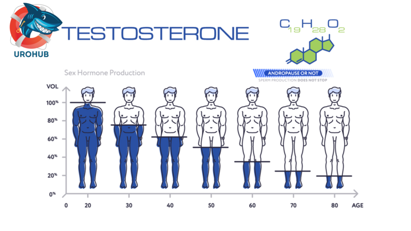Мужчины, тестостерон и COVID-19