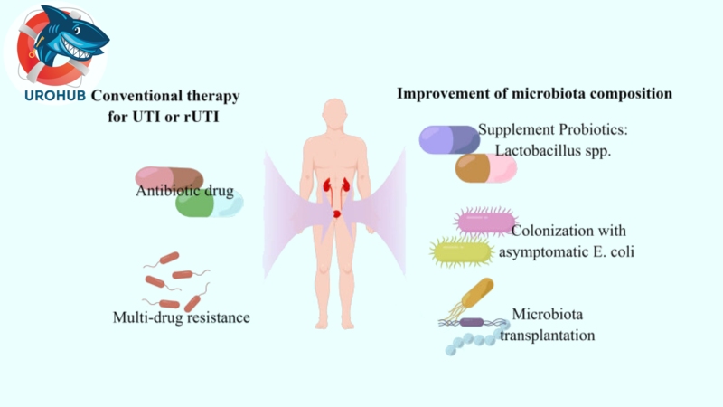 Изменения микробиоты при инфекциях мочевыводящих путей: метаанализ