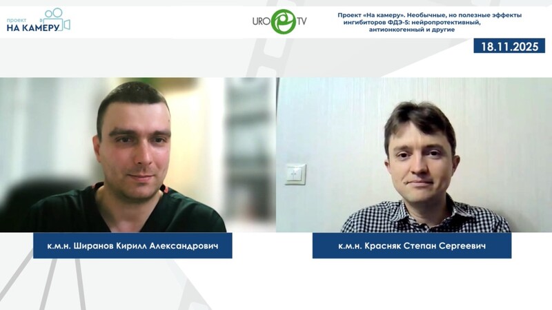 Красняк С.С., Ширанов К.А. - Необычные, но полезные эффекты ингибиторов ФДЭ-5: нейропротективный, антионкогенный и другие