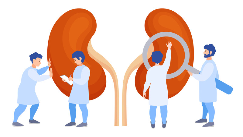 Урологи получат инструмент для профилактики инфекций после литотрипсии