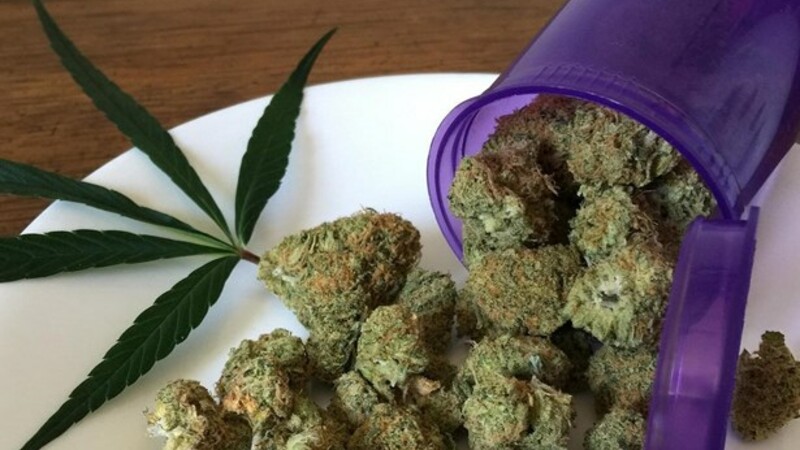 Анализы показали марихуану снимок марихуаны