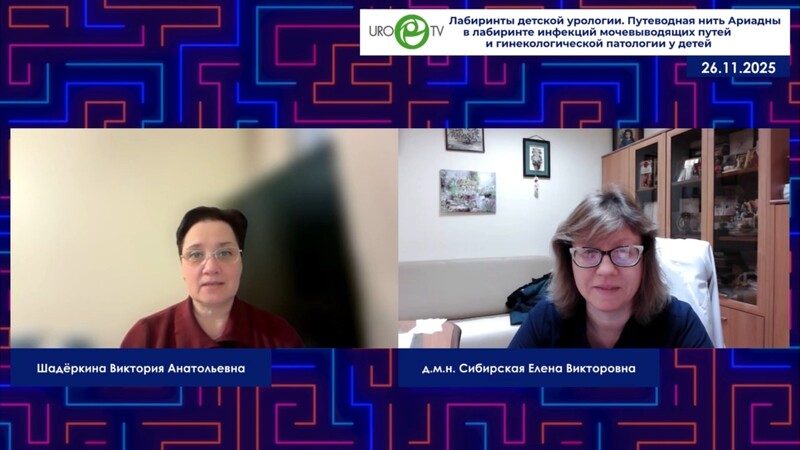 Сибирская Е.В., Шадёркина В.А. - Путеводная нить Ариадны в лабиринте инфекций мочевыводящих путей и гинекологической патологии у детей