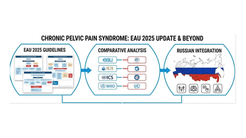 Синдром хронической тазовой боли: фундаментальный анализ обновленных клинических рекомендаций European Association of Urology 2025 года, компаративная оценка с международными стандартами и интеграция в российскую клиническую практику