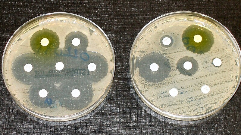 Профилактическое назначение антибиотиков увеличивает резистентность E. coli