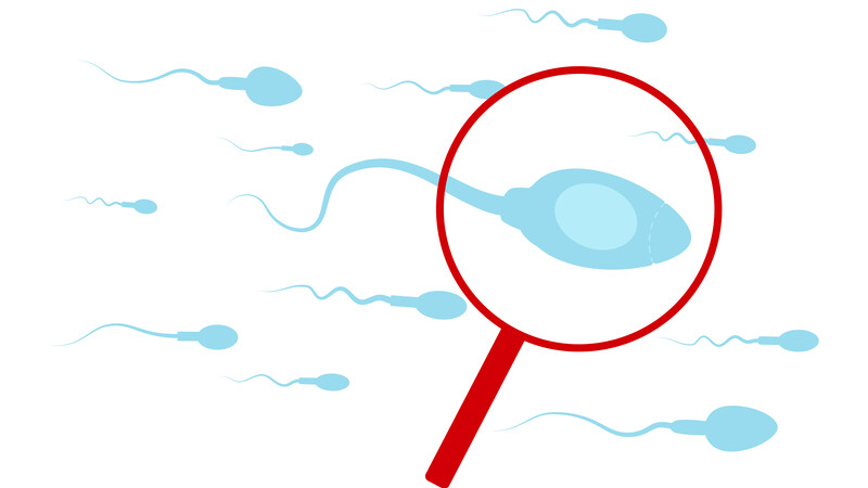 Новая таргетная терапия азооспермии