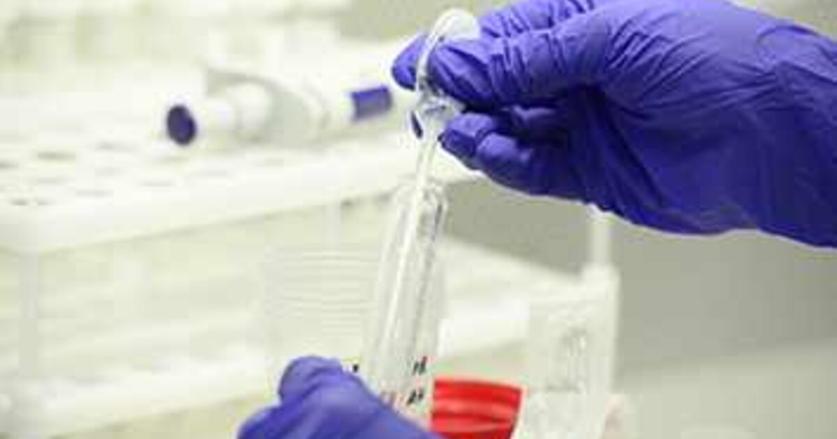 Порно видео: Күйеуі көмектеседі Папуандықтар аралда жыныстық қатынасқа түседі