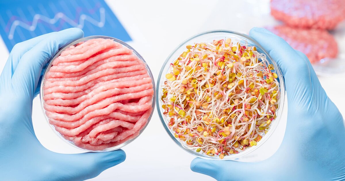 Растительное «мясо» повышает риск мочекаменной болезни | UroWeb.ru ...