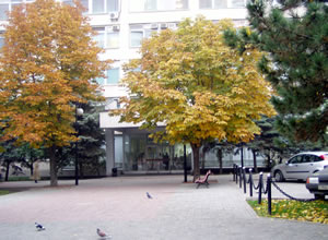 ОМЛДЦ (Областной медицинский лечебно-диагностический цент), Ростов-на-Дону, ул. Пушкинская 127